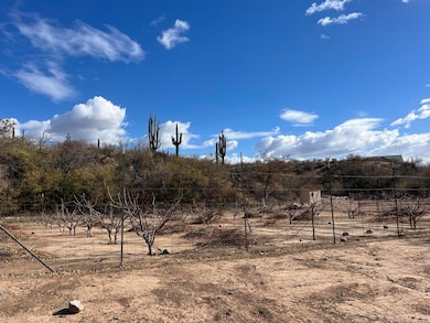 073 W Sierra Ancha Way, Tonto Basin, AZ 85553 - photo 7
