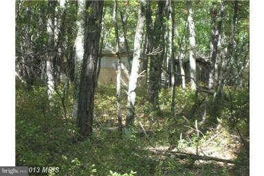 0 Deep Spring Rd unit 1003582428, Dorcas, WV 26847 - photo 2