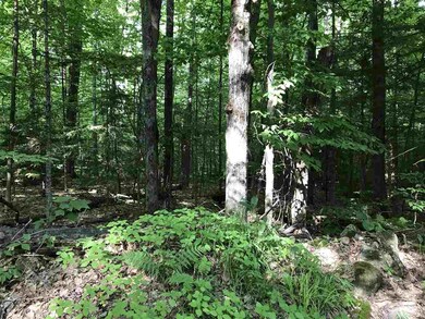 00 Holden Hill Rd unit Lot 1, Weston, VT 05161 - photo 6