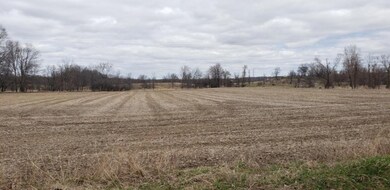 Parcel A Jefferson Rd, Ionia, MI 48846 - photo 3