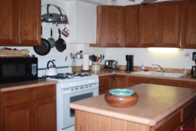 680 W Main St, Cedaredge, CO 81413 - photo 5