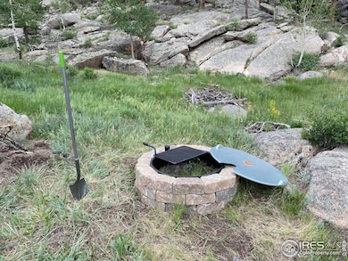 Approved Fire Pit, Cook your hot dogs here