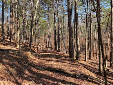 16 Hillside Trail, Mount Ida, AR 71957 - photo 5