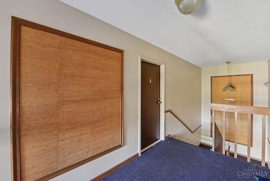 5207 S Eaglesnest Dr, Cincinnati, OH 45248 - photo 5