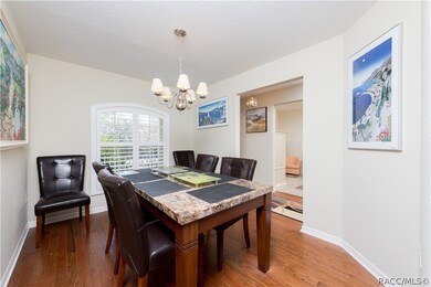 37 Lone Pine St, Homosassa, FL 34446 - photo 5