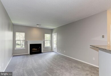 14314 Climbing Rose Way unit 203, Centreville, VA 20121 - photo 4