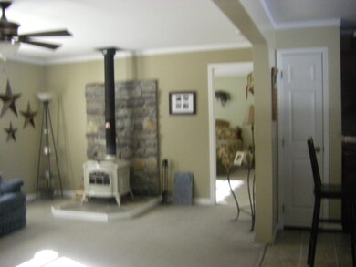 living room wood stove