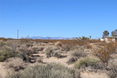 3465 Porter Blvd, Joshua Tree, CA 92252 - photo 3