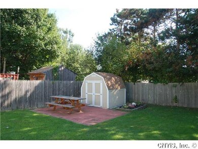 Shed