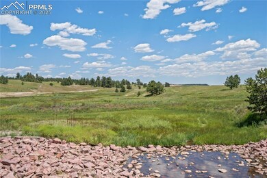 10490 Alamar Way, Black Forest, CO 80908 - photo 5