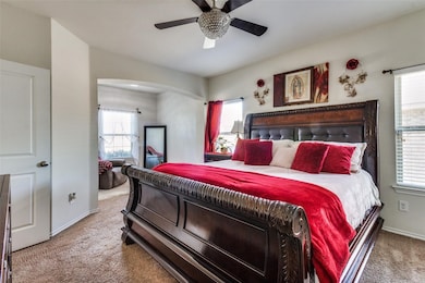 Carpeted bedroom with ceiling fan and multiple windows