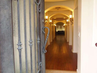 elegant worught iron and glass door
