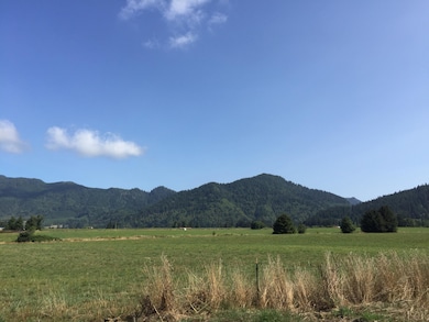 645 Hodgdon Rd, Tillamook, OR 97141 - photo 4