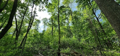 0 Bailes Rd, Nettie, WV 26681 - photo 6