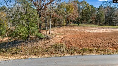 0 Lands Ends Ln unit 622660, Prosperity, SC 29127 - photo 5