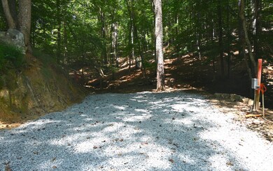 Additional View