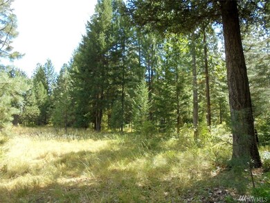 1045 Twisp River Rd, Twisp, WA 98856 - photo 6