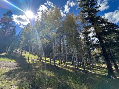 134 Onate Rd, Angel Fire, NM 87710 - photo 5