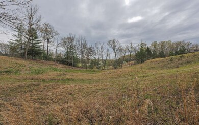 Additional View
