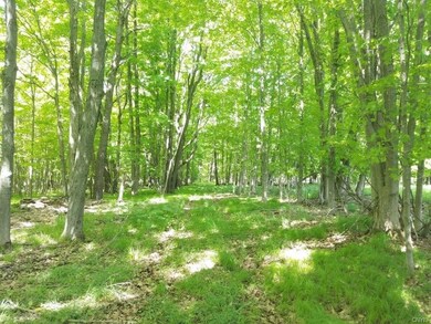 00 German Hill Rd Rd, Greenwood, NY 14839 - photo 2