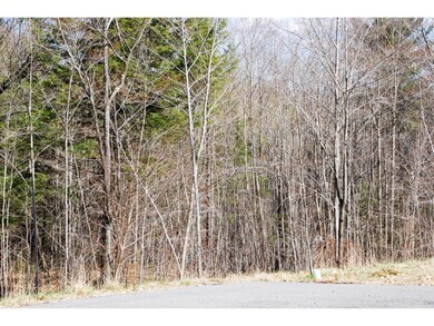 66 Grandview Rd, Conway, NH 03860 - photo 4