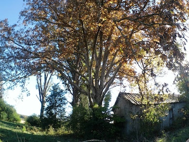 TBD Concord Church Rd, Ellerbe, NC 28338 - photo 2