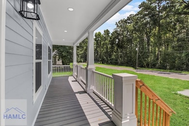 54 Pear St, Ludowici, GA 31316 - photo 3