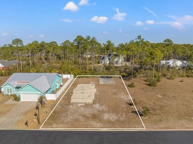 123 White Blossom Trail, Port Saint Joe, FL 32456 - photo 4