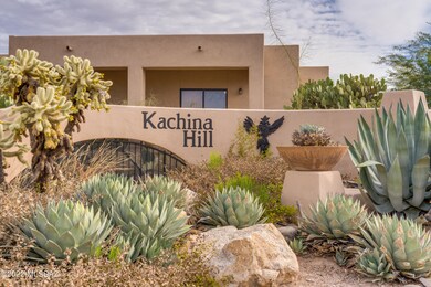 Pascola Cir-60
