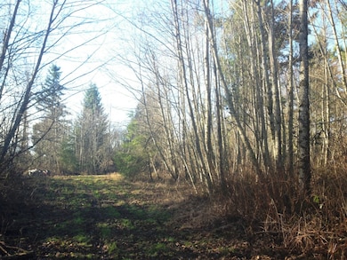 0 Lybecker Ln SE unit 732811, Rainier, WA 98576 - photo 4