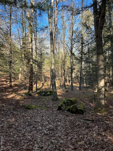 198 W Starlight Dr, Smallwood, NY 12778 - photo 2