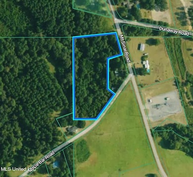 0 Mount Sinai Rd, Foxworth, MS 39483 - photo 4