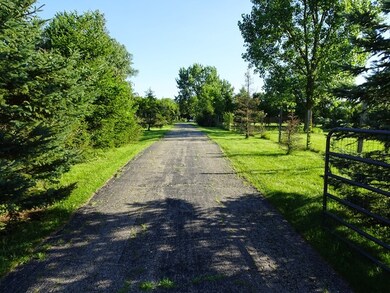 Entrance Drive