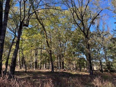 197 Deer Valley Cir, Broken Bow, OK 74278 - photo 5