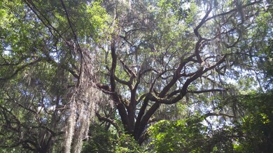 20160713_142621