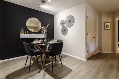 1691 Buttonwood Cir unit 2713, Schaumburg, IL 60173 - photo 6