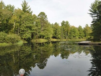 w 8367 Shipwreck Ln, Tomahawk, WI 54487 - photo 2