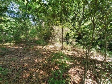 000 Morey Hill Rd, Baconton, GA 31716 - photo 5