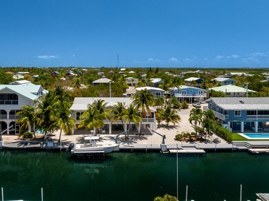 Aerial, back canal, 120' of dockage