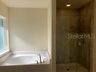 master Bath Garden Tub and Separate Tile Shower