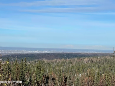 image_50412545