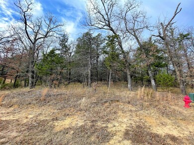 Lot 12B Castle Pines Cir, Gordonville, TX 76245 - photo 2