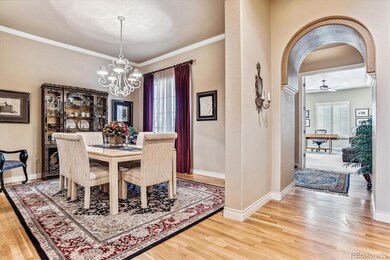 4807 S Anaheim Ct, Aurora, CO 80015 - photo 6