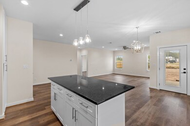 146 Feather Way, Fredericksburg, TX 78624 - photo 6