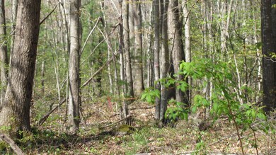 #2 Moose Rocks Rd, Kennebunkport, ME 04046 - photo 3