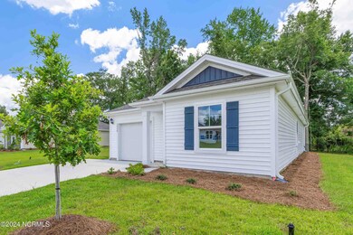 1550 Harpie Eagle Ln unit Lot 379, Bolivia, NC 28422 - photo 3