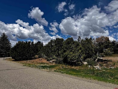 Lot 10 NE Ginters Grove Ln, Cedaredge, CO 81413 - photo 5