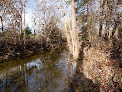 000 S 120th Rd, West Looney Township, MO 65710 - photo 4