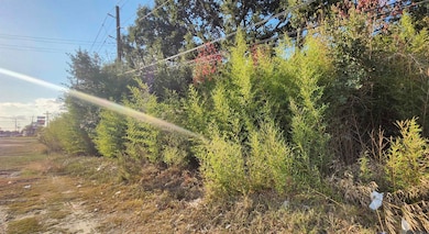 TBD Greenwell Springs Rd, Baton Rouge, LA 70739 - photo 3