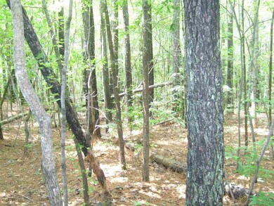 6675 Briarwood Dr, Oxford, NC 27565 - photo 3